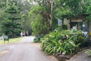 Tamborine Mountain Caravan & Camping - C Tourism 0
