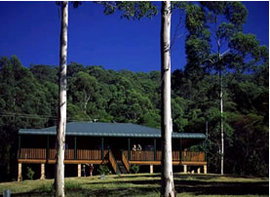Dungog NSW C Tourism