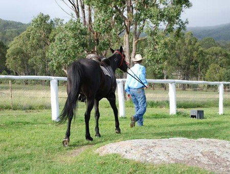 Cherrabah Resort - C Tourism 2