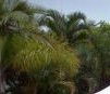 Ballina Beach Resort - C Tourism 4