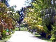 Andergrove Van Park - C Tourism 2