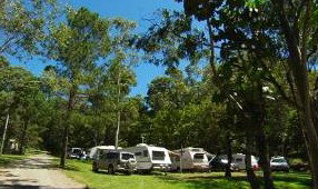 Tamborine Mountain Caravan & Camping - C Tourism 3