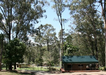 Tamborine Mountain Caravan & Camping - C Tourism 4