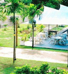 Kurrimine Beach Motel - C Tourism 2