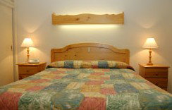 Best Western Fawkner Airport Motor Inn & Serviced Apartments - C Tourism 1