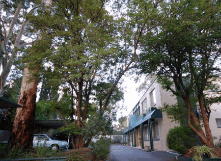 Glenside SA C Tourism