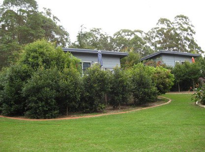 Mapleton Cabins And Caravan Park - C Tourism 3