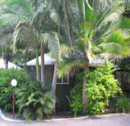 Nambour Rainforest Holiday Village - C Tourism 1
