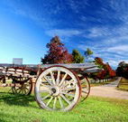 The Oaks Ranch and Country Club - Mossy Point - C Tourism