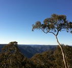 Coach Cottage - C Tourism