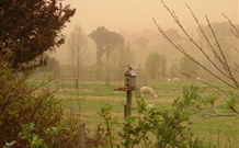 Joselands Country Accommodation - C Tourism 3