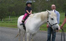 Mansfield Cottage Barrington Tops Accommodation - C Tourism 0