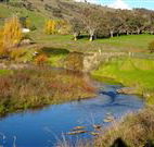 Ralda's Cottage - C Tourism