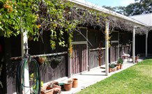 Air B And B Garden Studio - C Tourism 7