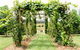 All Saints Bed And Breakfast - thumb 0