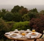 Barefoot Springs Bed and Breakfast - C Tourism