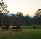 Elfin Hill - C Tourism