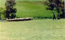 Gooromon Park Cottages - C Tourism 0