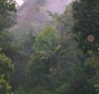 Havans Ecotourist Retreat - - C Tourism