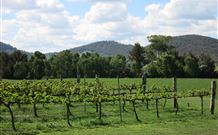 Mudgee NSW C Tourism