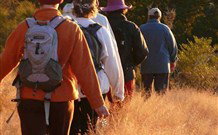 Mangrove Yoga Ashram - - C Tourism 3