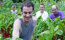 Mangrove Yoga Ashram - - C Tourism 8