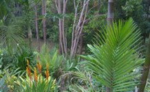 Old Convent River Retreat - C Tourism 1