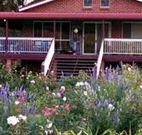 Rose Patch Bed and Breakfast - C Tourism