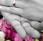 Salisbury Lodges and Araluen Restaurant - C Tourism