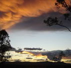 Silkwood B and B - C Tourism