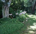 Tallawalla Retreat - C Tourism