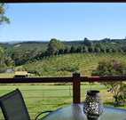 The Shed B and B - C Tourism