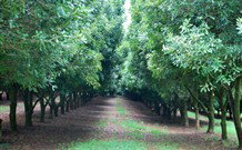 The Shed B And B - C Tourism 3