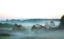 The Shed B And B - C Tourism 2