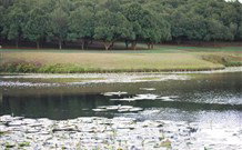 The Shed B And B - C Tourism 5