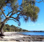 David Jones Cottage - C Tourism