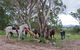 In Essentia Healing Hut Of Kangaroo Valley - thumb 1