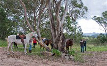 In Essentia Healing Hut Of Kangaroo Valley - C Tourism 1
