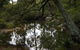 In Essentia Healing Hut Of Kangaroo Valley - thumb 0