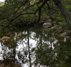 In Essentia Healing Hut of Kangaroo Valley - C Tourism