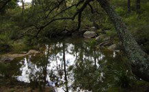 In Essentia Healing Hut Of Kangaroo Valley - C Tourism 0