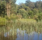 Fosterton Lodge Retreat