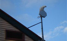 Hat Head Holiday House - C Tourism 6