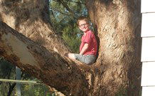 Leslie Cottage - C Tourism 7