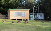 Lake Haven Castle Cottage - C Tourism 1