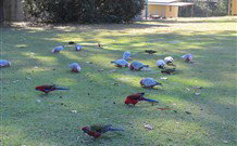 Lake Haven Castle Cottage - C Tourism 2