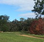 Mulberry Cottage - C Tourism