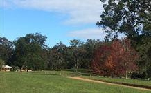 Mulberry Cottage - C Tourism 0