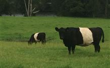 Mulberry Cottage - C Tourism 1