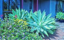Retreat Homestead - C Tourism 0
